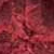 Дантелена бразилиана, Just lace, бордо, 359